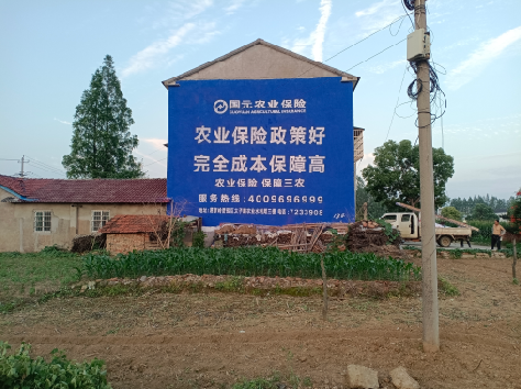 德昌墙体广告的优劣势你知道吗?